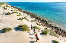 Two-Day Trekking Adventure-Sunset Reef & Range Overnight Loop