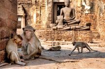 Lopburi Monkey Temple & Ayutthaya Old City Tour From Bangkok
