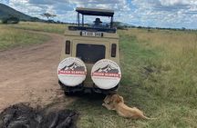 4 Days Tarangire Serengeti and Ngorongoro Crater mid range tour