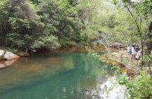 Full-Day Panorama Tour in Mpumalanga Province