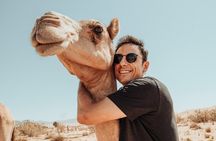 Journey to the Heart of the Emirates