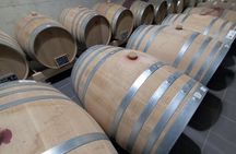 Half-Day Irpinia Wine Tour from SALERNO
