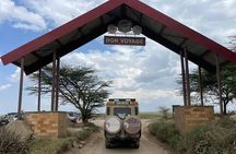 6 Day Tanzania Wildlife Mid range Safari