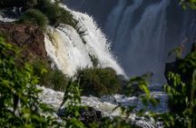 Transfer IN IGU & Iguassu Falls Brazilian side & Macuco Boat Safari