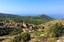 Hvar Lavender Tour
