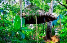 Materuni Waterfall and Kikuletwa Hot Spring Tour