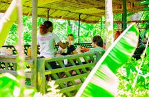 Materuni Waterfall and Kikuletwa Hot Spring Tour