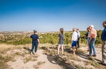 Amarillo, Palo Duro Canyon and Route 66 Day Trip