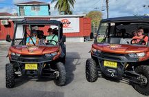 Nassau Narrated Jeep tour with Full Bahamian Lunch and Drink 