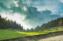 Hiking Adventure in the Central Balkan National park