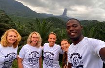 sipson tours stp