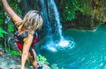 Whale Shark, Canyoneering, Sardines Run and Turtles with Transpo