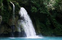 Whale Shark, Canyoneering, Sardines Run and Turtles with Transpo