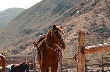 Horseback riding at sunset