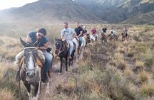 Horseback riding at sunset