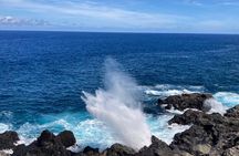 Private and Guided Day Tour of Reunion Island