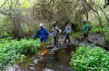 Guided Walking Route to Caldera de Taburiente