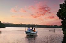 Sri Lanka Private Koggala Lake and Temple Tour