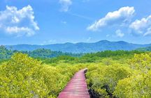 Koh Chang Explorer (joined)
