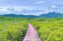 Koh Chang Explorer (joined)