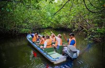 Mangroves of Madu Ganga Boat Tour (Private & All-Inclusive)