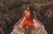 Mangroves of Madu Ganga Boat Tour (Private & All-Inclusive)