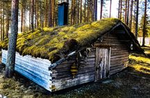 Reindeer Farm Summer Experience