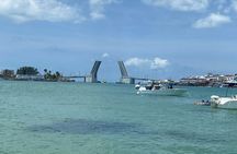 Madeira Beach - Shell Key - Dolphins - Half Day Private Boat Tour