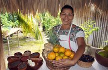 Chacchoben Mayan City and Mayan Experience Combo Tour