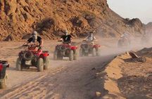 Quad Biking Safari-Camel Ride-Bedouin Dinner and Shows From Sharm