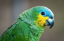 Amazon Adventure Trip 4D/3N at Tapiri Rio Negro Lodge