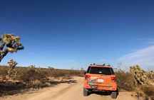 Joshua Tree National Park Offroad Tour
