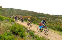 3 Hours e-bike Tour with Wine Tour at Tenuta la Chiusa