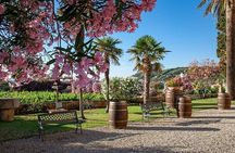 3 Hours e-bike Tour with Wine Tour at Tenuta la Chiusa