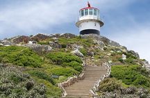 Private: Table Mountain, Cape Point and Penguin Colony