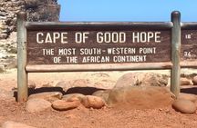 Private: Table Mountain, Cape Point and Penguin Colony