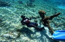 Negril Glass Bottom Boat Tour Snorkeling and Booby Cay