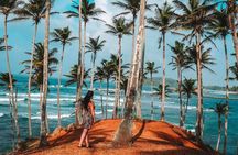 Majestic Mammals Of Sri Lanka: Whale & Elephant Safari Tour 