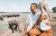 Majestic Mammals Of Sri Lanka: Whale & Elephant Safari Tour 