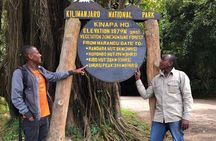 6 Hours Kilimanjaro Day Hike to Mandara Hut and Maundi Crater 