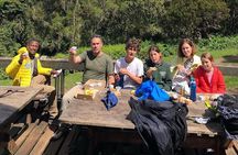6 Hours Kilimanjaro Day Hike to Mandara Hut and Maundi Crater 