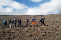 Climb Kilimanjaro - Lemosho Route 7 Day Climb