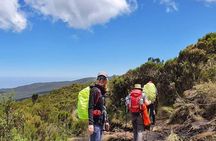 Mountain Kilimanjaro Climbing 9 Days Lemosho Route