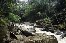 Climb Kilimanjaro - Lemosho Route 7 Day Climb
