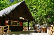 8-Hour Lake Bled, Lake Bohinj and Waterfall Savica Tour