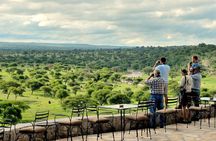 Tarangire Budget Full Day Tour from Arusha