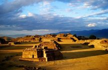 Only Monte Albán Tour