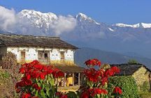 Pokhara: Unforgettable Pokhara to Annapurna Foothills Day Hike