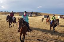 Estancia ,de la comuna de Laguna Blanca 
