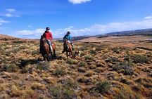 Estancia ,de la comuna de Laguna Blanca 